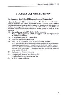 El Coran Traduccion Comentada (Spanish Only)