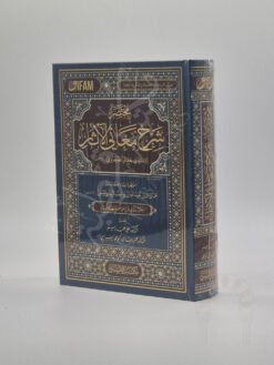 مختصر شرح معاني الآثار